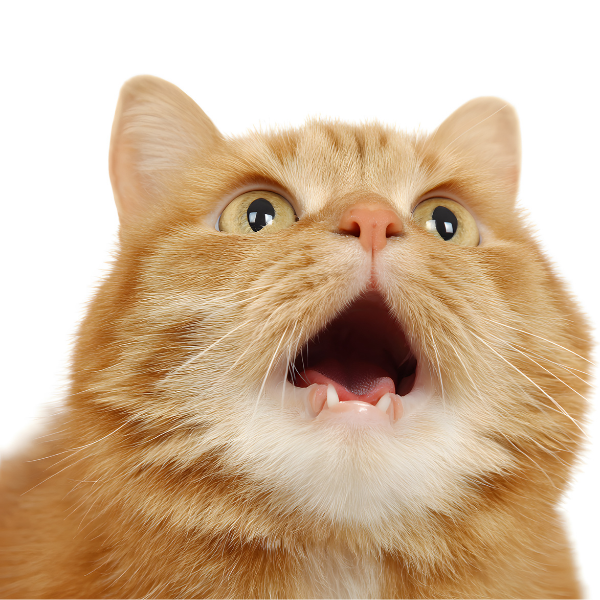 7 Sneaky Animal Ingredients Hiding in Your Food (That Aren't Meat)